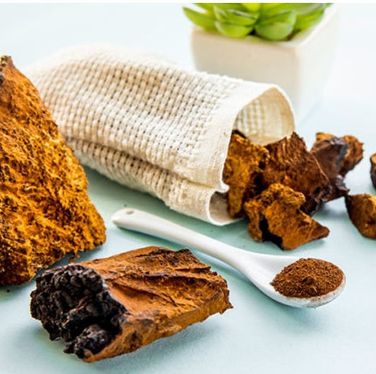 Health Benefits of Chaga Mushrooms
