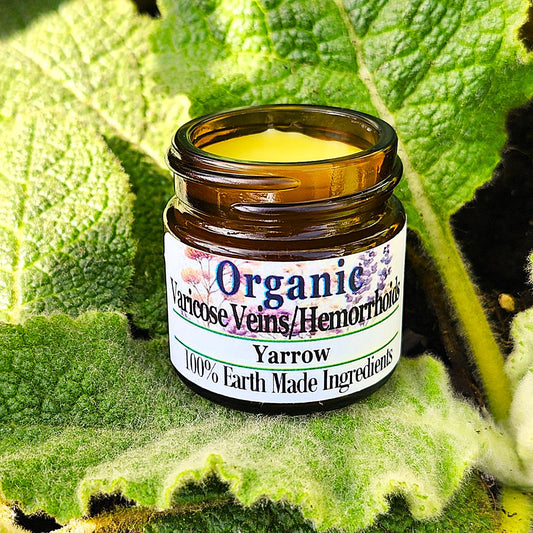 Yarrow Salve for Varicose Veins or Hemorrhoids