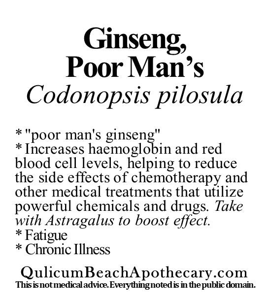 Organic Farmacopia: Ginseng-Poorman's