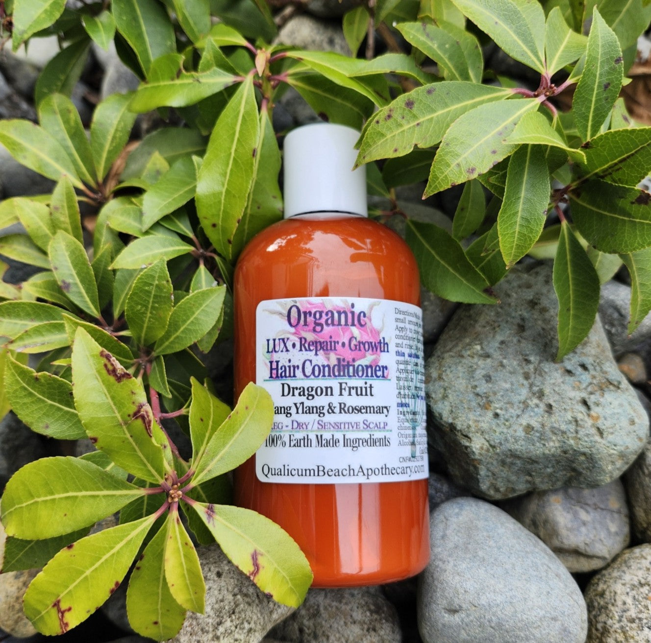 Organic LUX Repair/Growth Hair Conditioner-Dragon Fruit 230ml