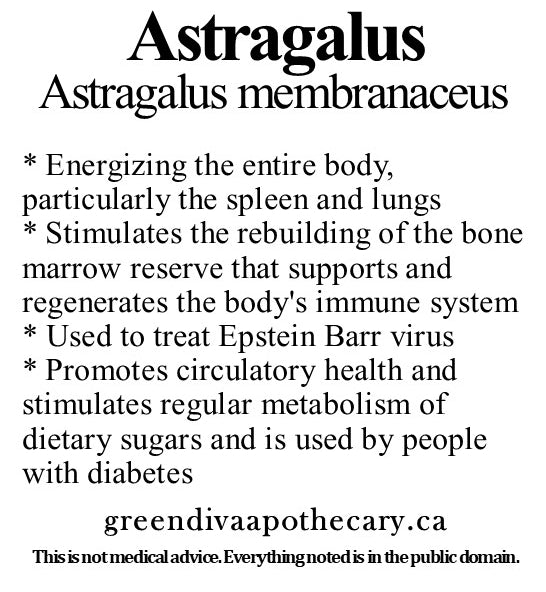 Organic Farmacopia: Astragalus root