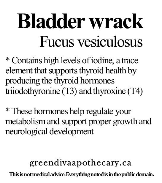 Organic Farmacopia: Bladder wrack