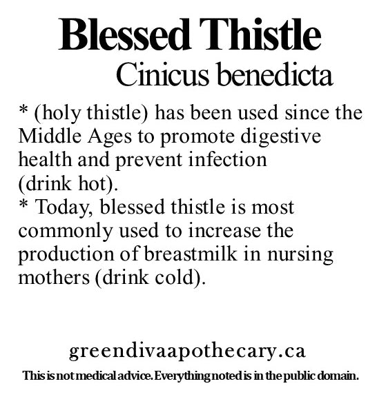 Organic Farmacopia: Blessed thistle