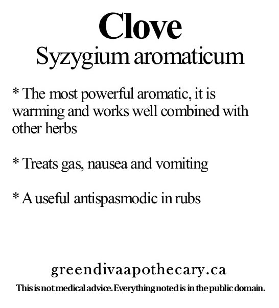 Organic Farmacopia: Clove