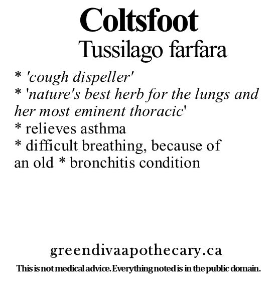 Organic Farmacopia: Coltsfoot