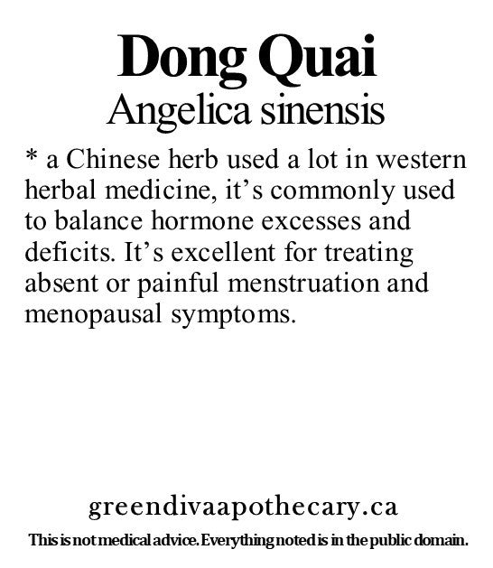 Organic Farmacopia: Dong Quai