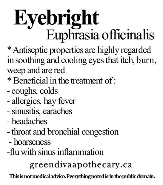 Organic Farmacopia: Eyebright