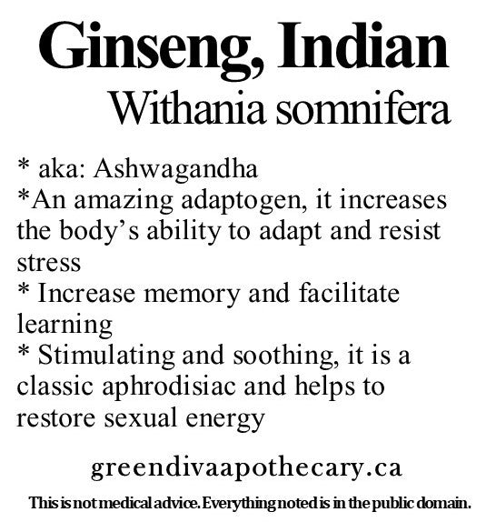 Organic Farmacopia: Ginseng-Indian (ashwagandha)