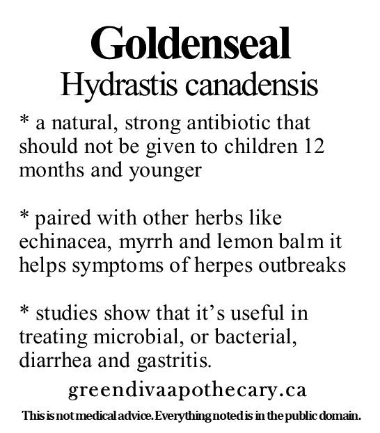 Organic Farmacopia: Goldenseal