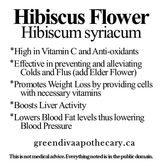 Organic Farmacopia: Hibiscus flower