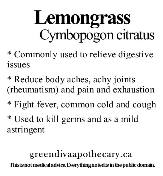 Organic Farmacopia: Lemongrass