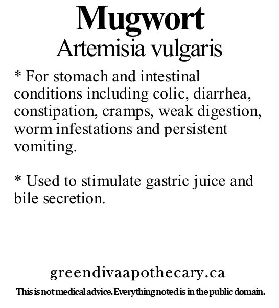 Organic Farmacopia: Mugwort
