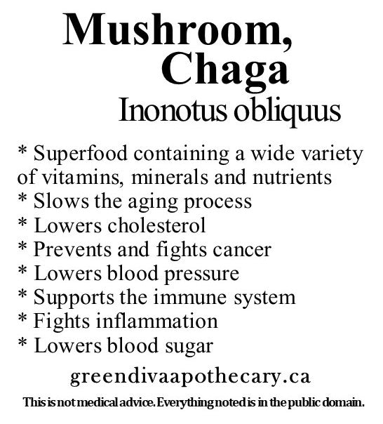 Organic Farmacopia: Mushroom-Chaga