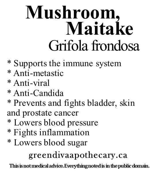 Organic Farmacopia: Mushroom-Maitake