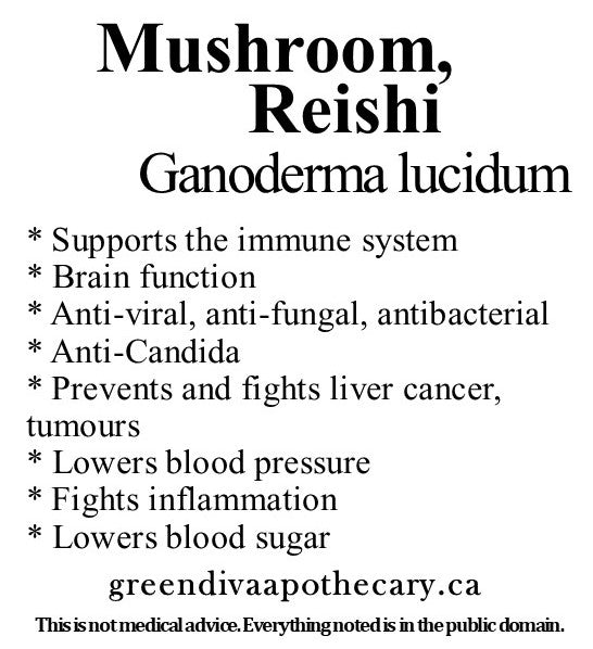 Organic Farmacopia: Mushroom-Reishi