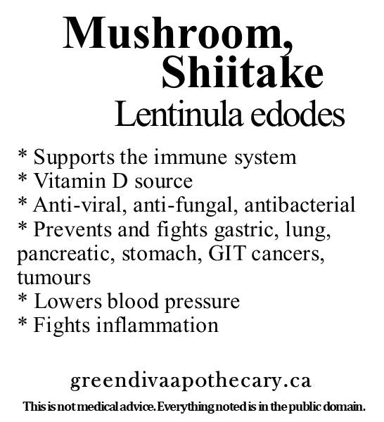 Organic Farmacopia: Mushroom-Shiitake