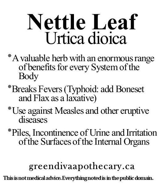 Organic Farmacopia: Nettle