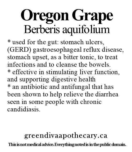 Organic Farmacopia: Oregon grape