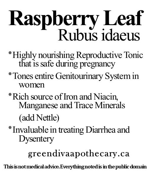 Organic Farmacopia: Raspberry leaf