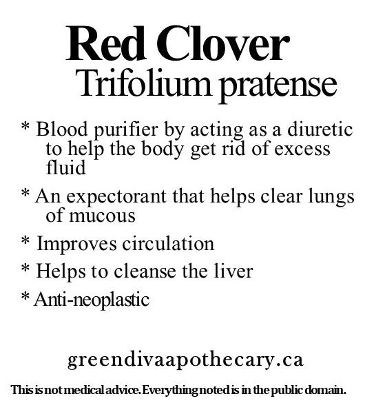 Organic Farmacopia: Red clover