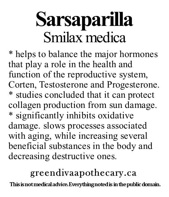 Organic Farmacopia: Sarsaparilla