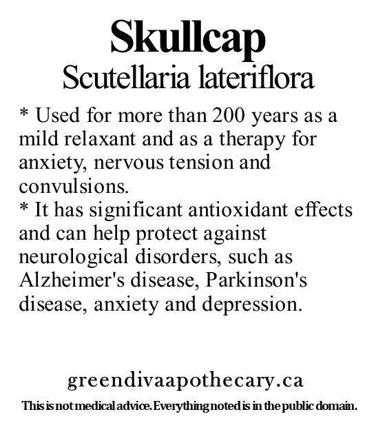 Organic Farmacopia: Skullcap