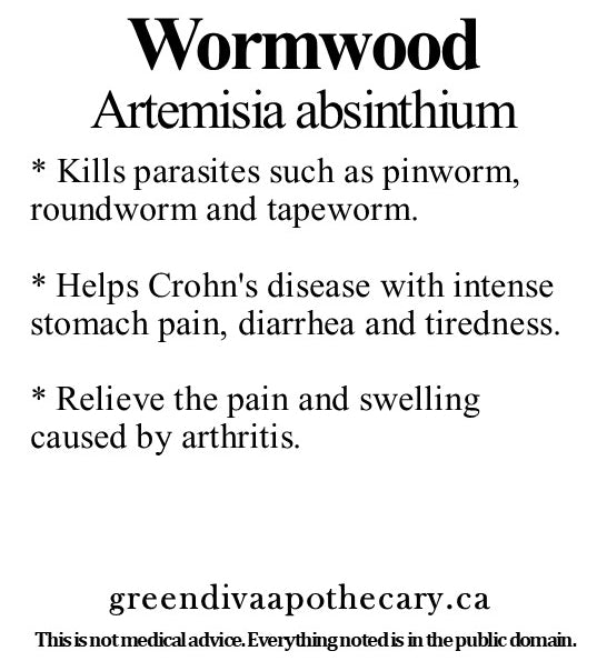 Organic Farmacopia: Wormwood