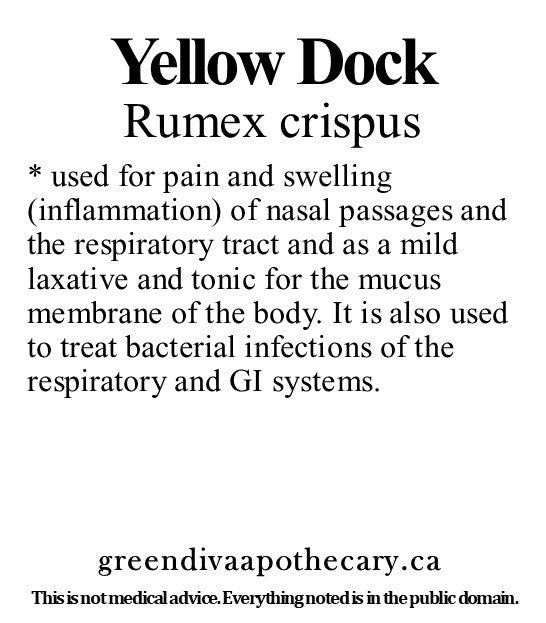 Organic Farmacopia: Yellow dock