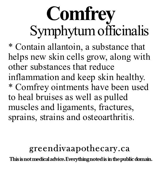 Organic Farmacopia: Comfrey