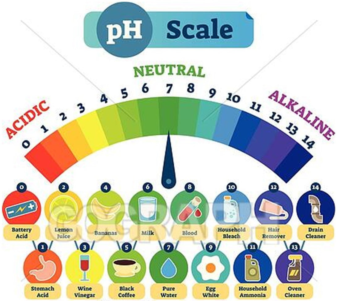 How to Maintain a Healthy pH