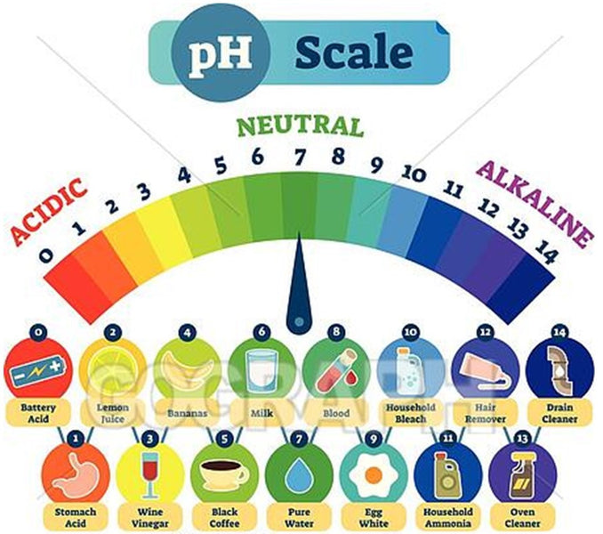 How to Maintain a Healthy pH