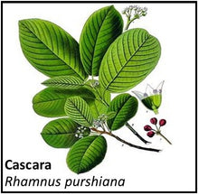 Load image into Gallery viewer, Organic Farmacopia: Cascara
