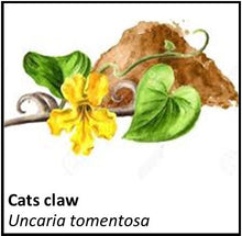 Load image into Gallery viewer, Organic Farmacopia: Cats claw
