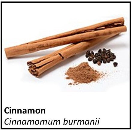 Organic Farmacopia: Cinnamon stick