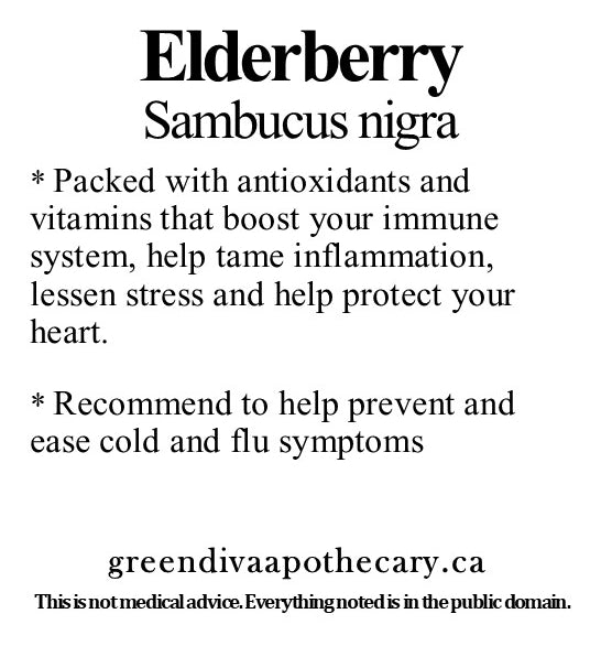 Organic Farmacopia: Elderberry