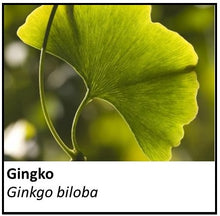 Load image into Gallery viewer, Organic Farmacopia: Ginkgo leaf
