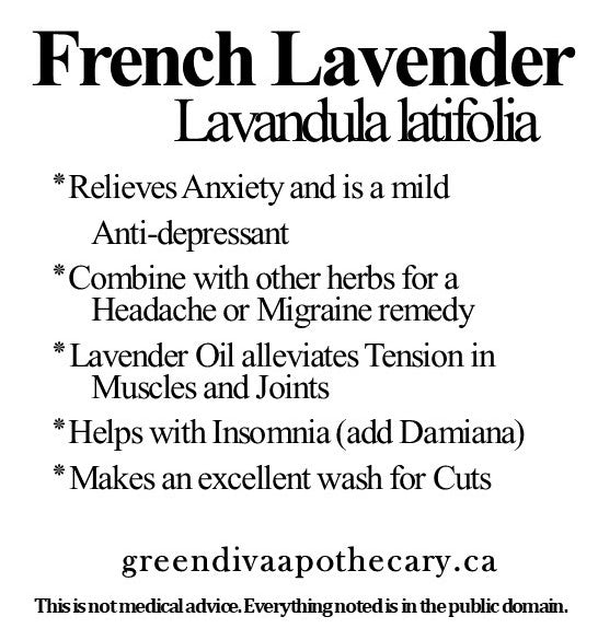 Organic Farmacopia: lavender