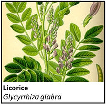 Load image into Gallery viewer, Organic Farmacopia: Licorice
