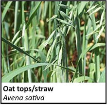 Load image into Gallery viewer, Organic Farmacopia: Oat tops

