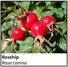 Load image into Gallery viewer, Organic Farmacopia: Rosehip
