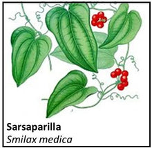 Load image into Gallery viewer, Organic Farmacopia: Sarsaparilla
