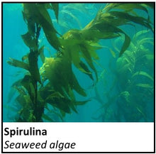 Load image into Gallery viewer, Organic Farmacopia: Spirulina
