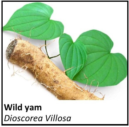 Organic Farmacopia: Wild yam